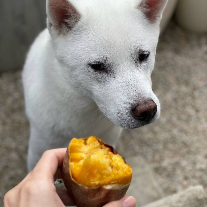 Af0f7cb2 df1a 4fee bd2b d0e75a820e15 1699527178029