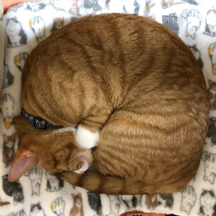 Af0f9b89 4196 4145 ae6d d53c278ec0b0 1555764146542