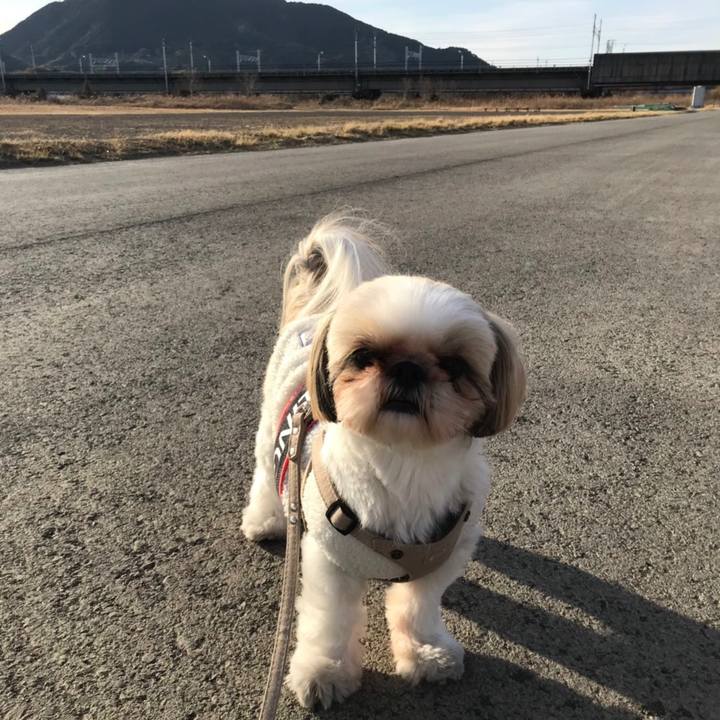 Af0f9fb3 4e2f 41aa 9da1 370ba325d03f 1612526890979