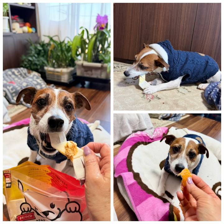 Af0fa9dd 986d 4222 a715 e2cc24bcd8d3 1768047838736