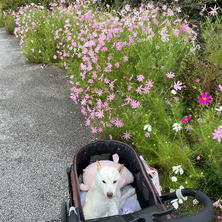 Af0fee64 e504 4c18 9720 628b2a60f374 1665146380373