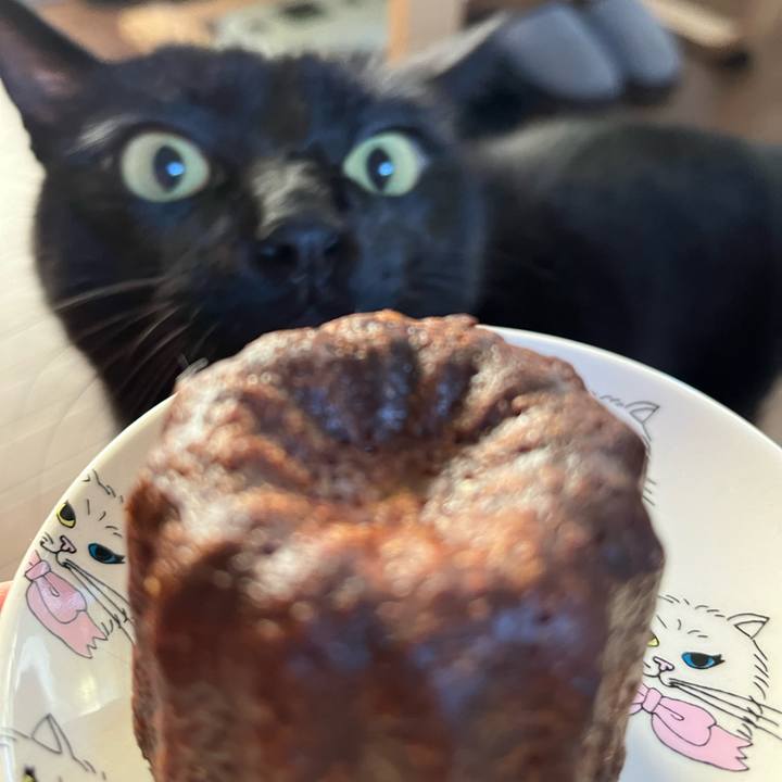 Af10641e 7214 4ed4 bd35 e8c8a3865885 1701574361665