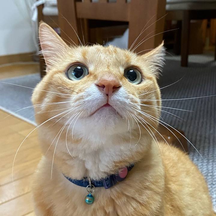 Af1072ed ebd1 4696 a018 8aeb22c09c63 1659306739468