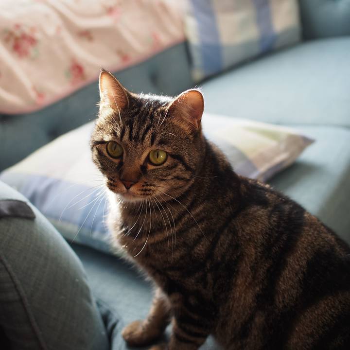 Af107b55 c95a 419a acfd caa71e614385 1545780591091