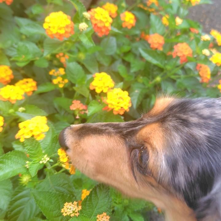 Af10a3f9 c35e 47be aa08 c0c28aae4069 1756427802526