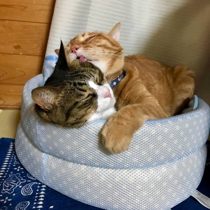 Af10b114 cf5b 4afa a8e9 4635970d7a74 1525251282077