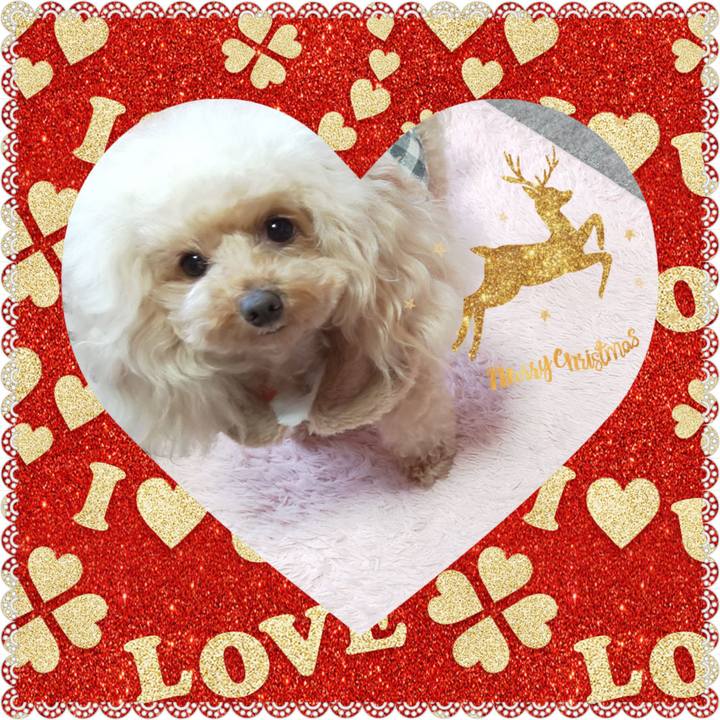 Af10c507 0936 4f09 acc5 26ae57b854f4 1576756091960