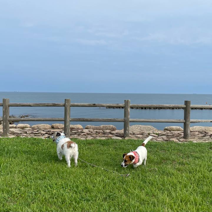 Af10cda2 082d 48f7 bae8 2a00ab0456fc 1660086345415