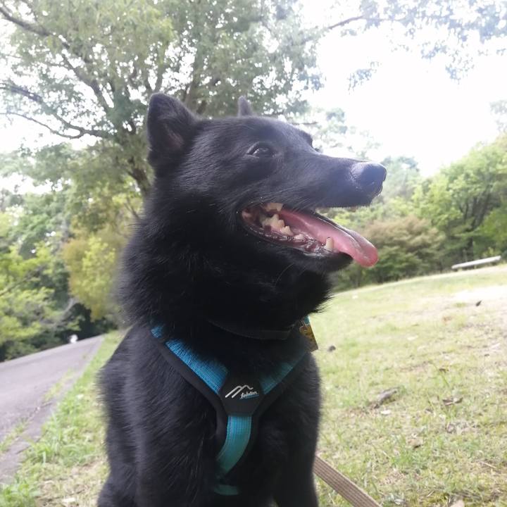 Af10df1b a9c8 4233 ad37 509851e8cb0e 1655502784913