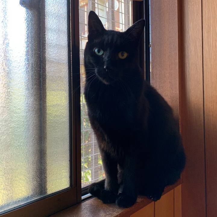 Af1105f9 d0f9 4586 83a8 939c1d87b236 1575940706017