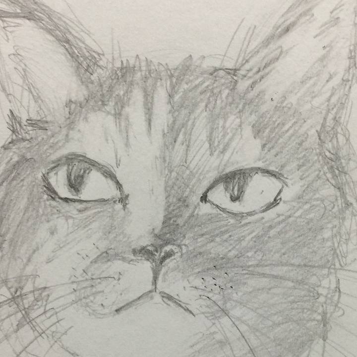 Af113a2f 9f5d 49a5 ab65 dbe6690e65b6 1557888295592