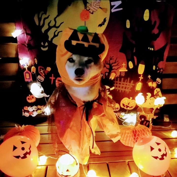 Af116fe3 04fb 4165 8c25 a43537508283 1604134340205