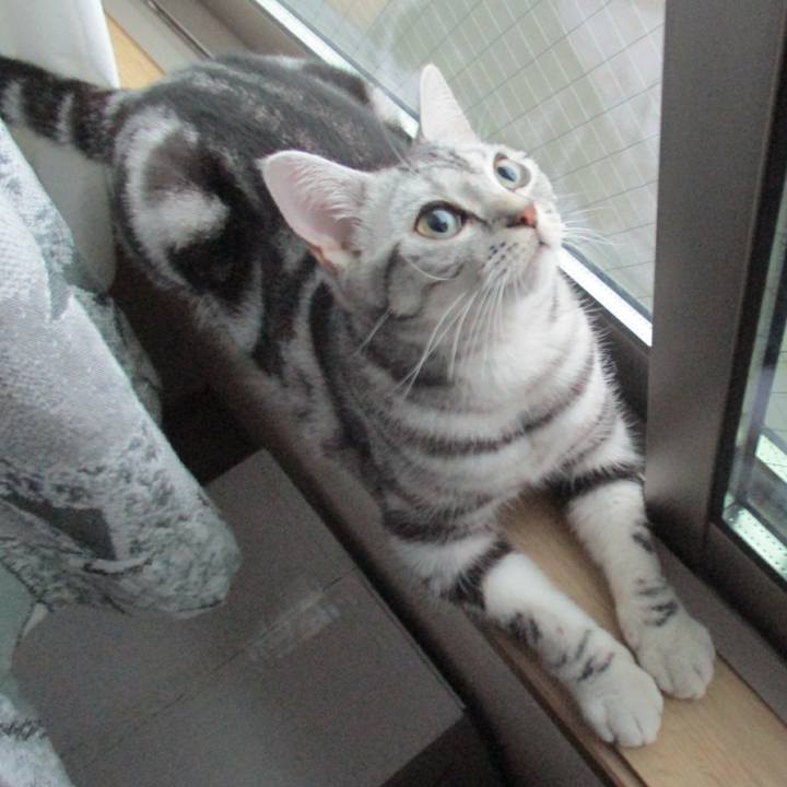 Af1179e1 08df 4661 b5cf 8a32e1dac1bf 1556112510588