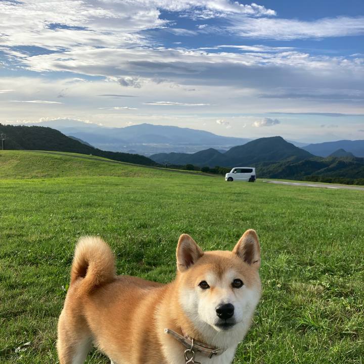 Af119763 d843 4597 baea 7e7cfc0d4beb 1695974035559