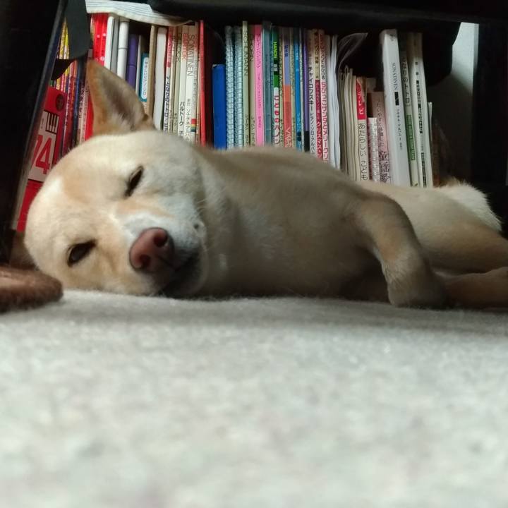 Af11dddd 9c7b 42da 9b5e fded790cc79f 1535888875748