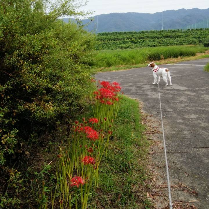 Af11e002 96c7 4ec1 9369 d4e9c2527cf2 1537401135238