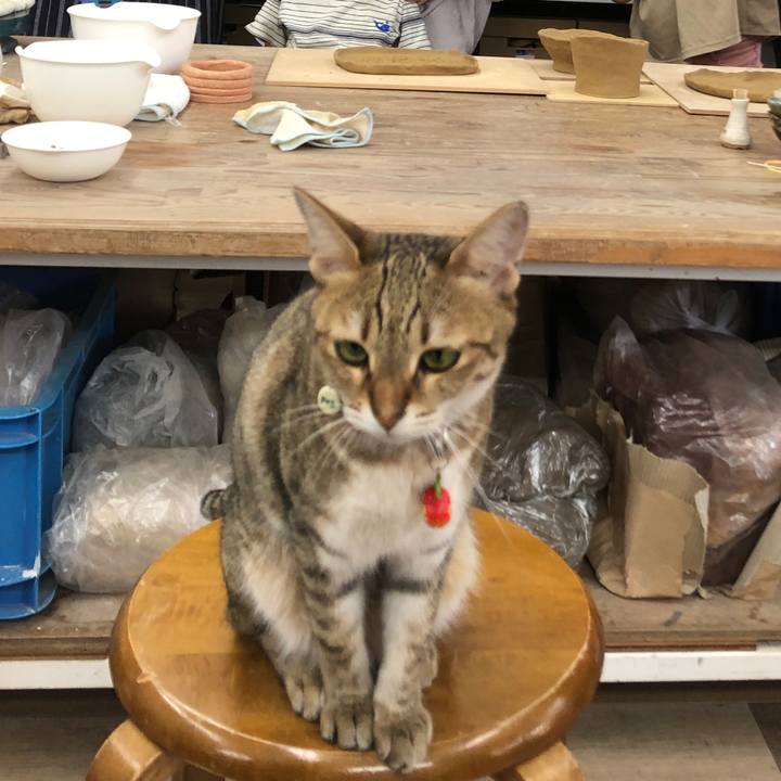 Af11e075 bd5c 4b3a 865b d183391d538d 1660127517568