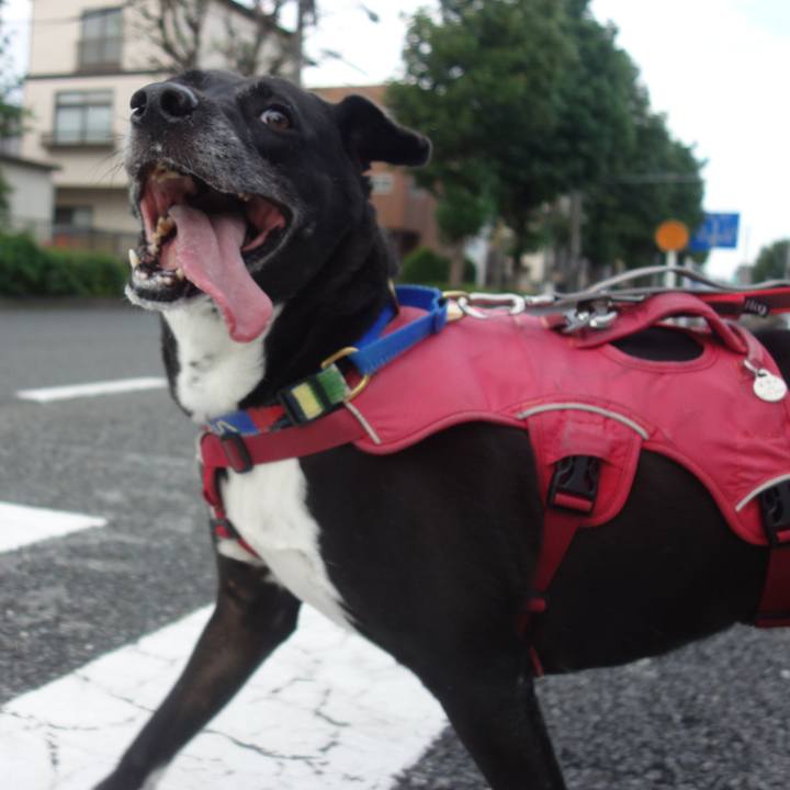 Af122cb8 87c8 450d b97c e163504d1078 1695517069482