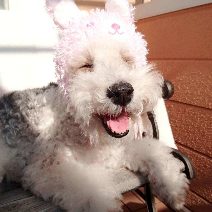 Af124848 7783 4a1a bbc6 bb972a82edc1 1511921010557