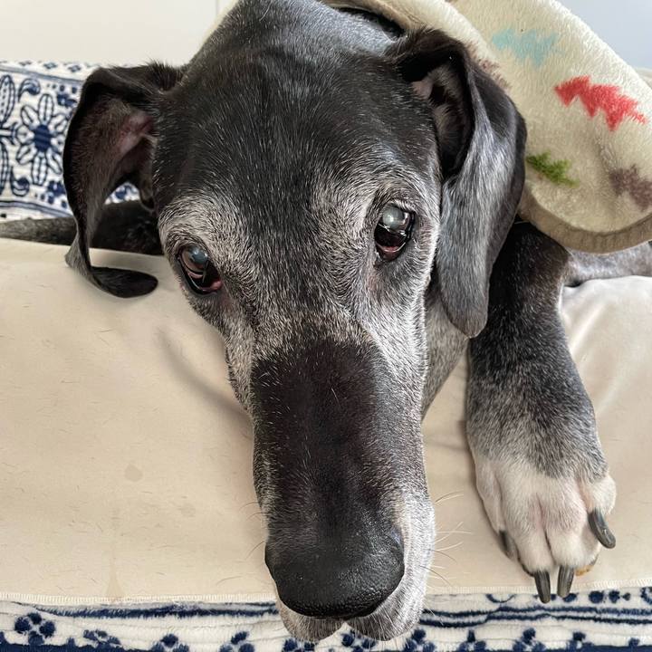 Af124ee0 5e2f 4765 8a47 ae8d10a91c9f 1666221332709