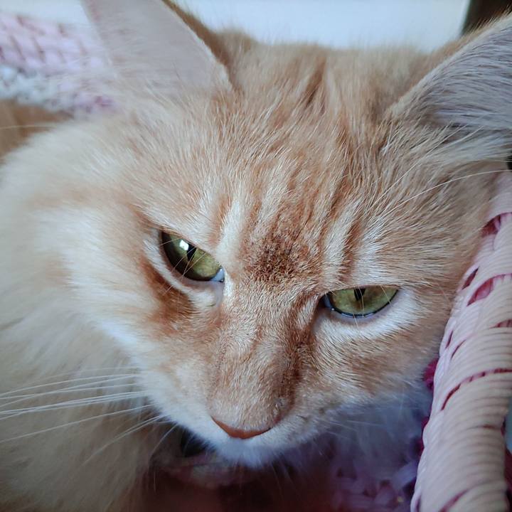 Af126197 dd98 468b afb5 23f007b8403b 1690945670024