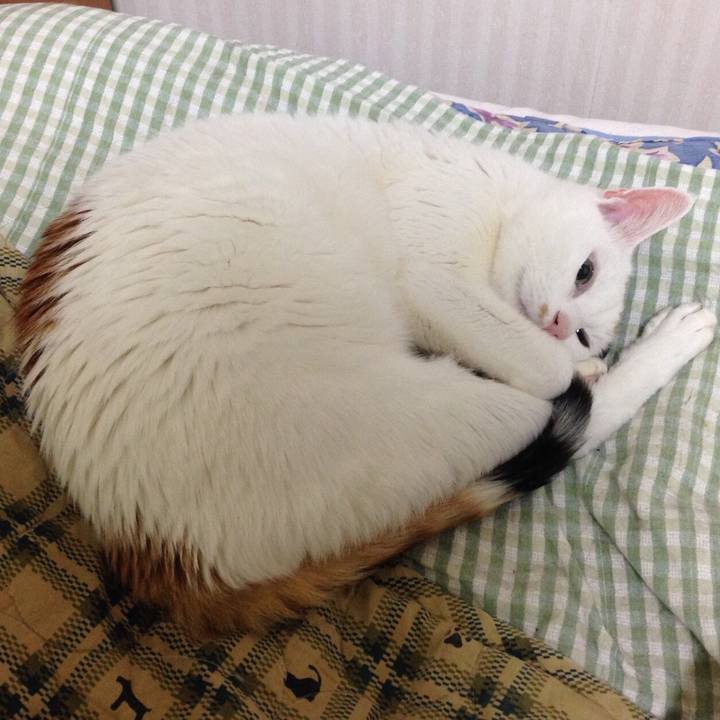 Af126a2d 450d 4421 a7b1 a866f0dfa96a 1538816589673