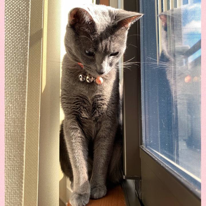 Af12a1f1 e154 4932 a9c2 4a03553688f6 1609382796200