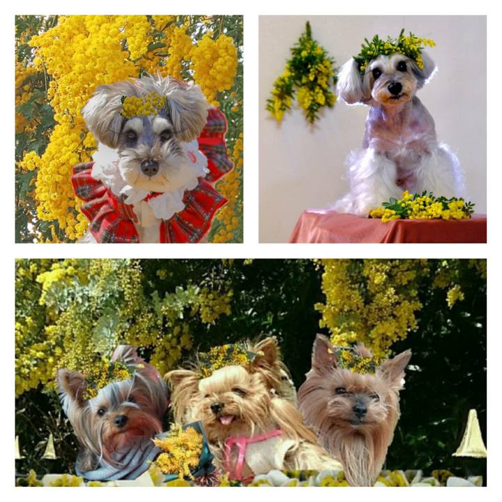 Af12be3a c366 472e b6af a338441d293c 1709869994068