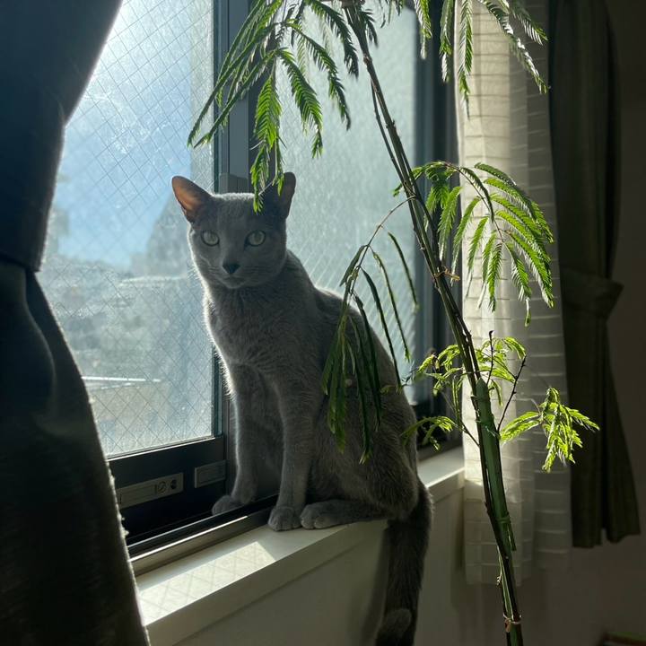 Af12d04c 26d6 4053 aef2 5cc33aeda735 1738455392821