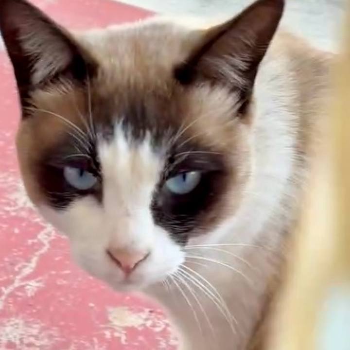 Af1302df ecd4 456d 9990 d7146c4fd46f 1744095660245