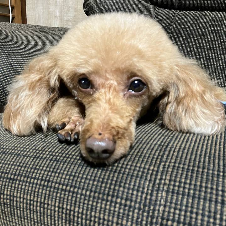 Af1303a5 0952 42ca b5dc 66ae9326ddf2 1656149138790