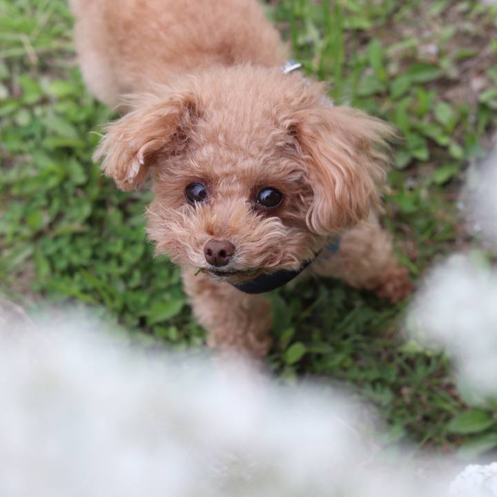 Af135c1b c70b 4dcc 91c3 e32c0b53ce58 1553908239998