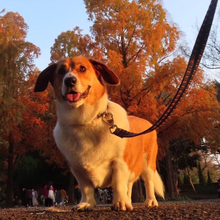 Af135da0 0870 44c4 b5ae 916651925f25 1637542148916