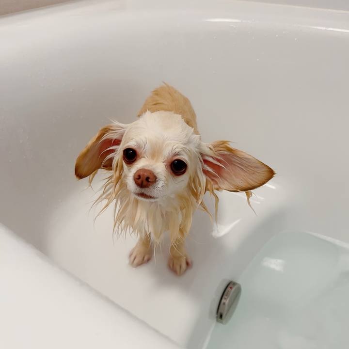 Af137391 8546 47f0 a301 b0a70b38e7db 1713878342306