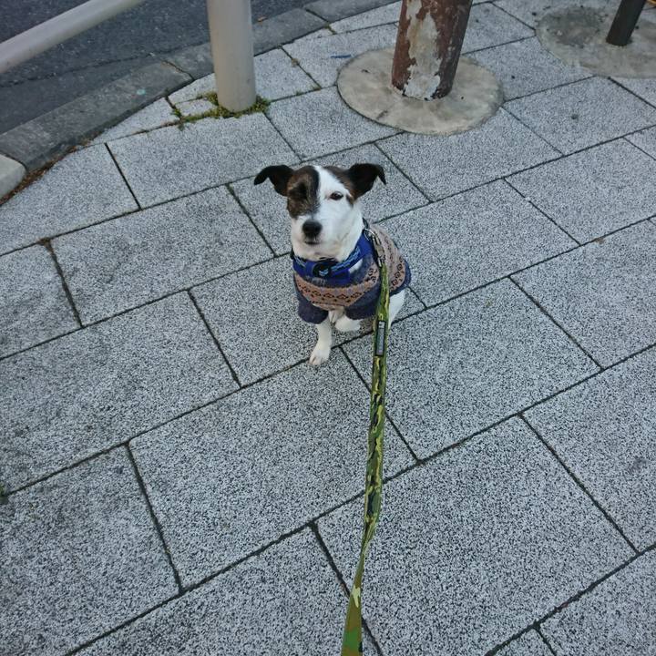 Af13a755 4548 43e0 8ca6 5f135bc1208b 1517868923959