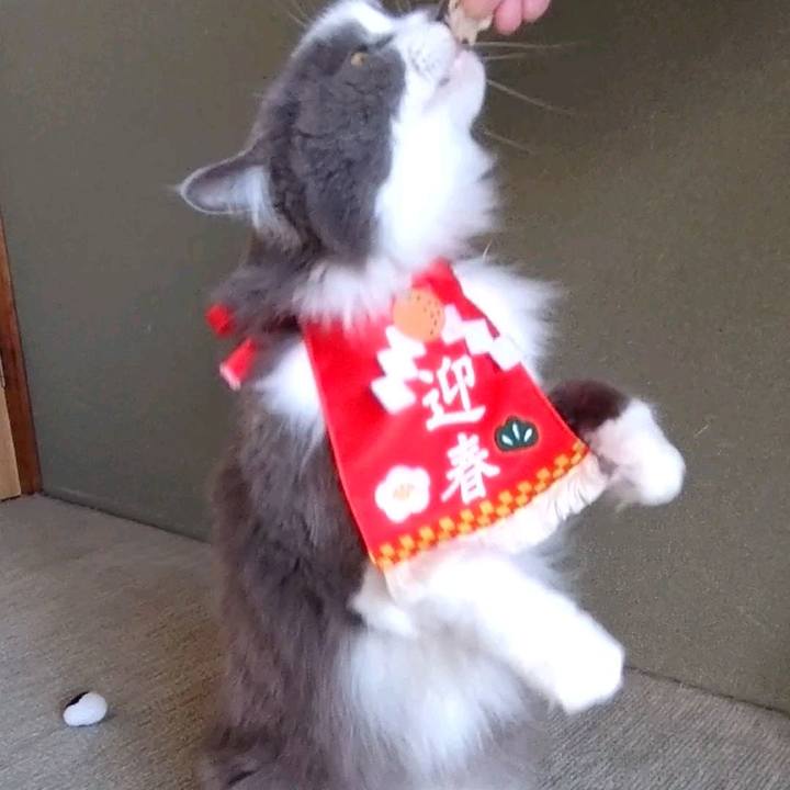 Af13df7b 37fe 41df b8a8 ed8846a5dc22 1735696431610