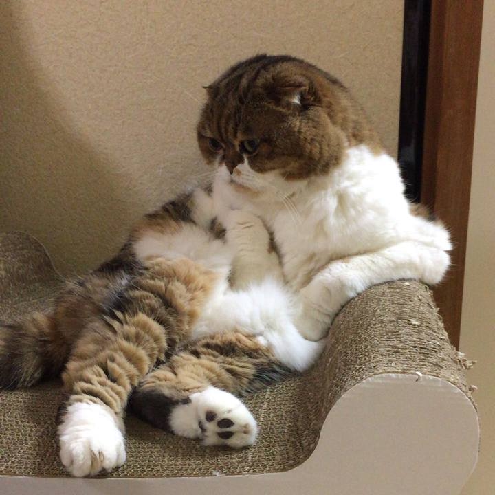 Af13e0a0 492d 476f ab88 6c2c1f9a67fe 1536545886316