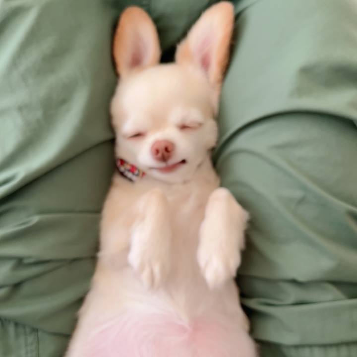 Af141354 3d81 4628 88a6 7ba93afe2b89 1724148052445