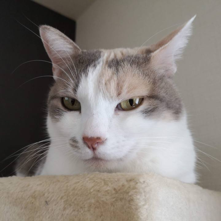 Af14243f be68 45b4 a573 c87c48a3011e 1605403237000