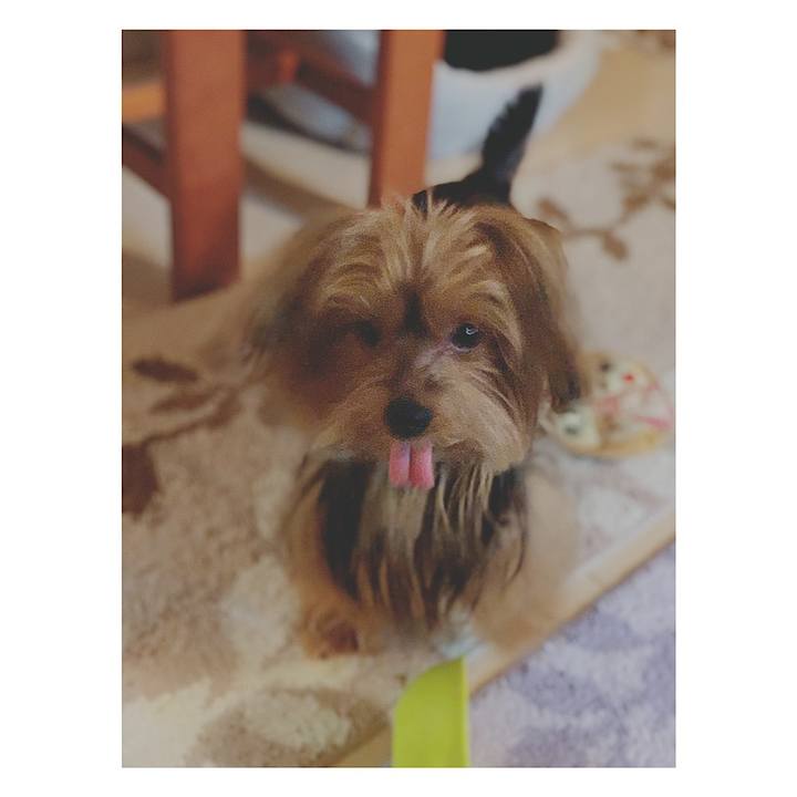 Af1429a1 99ce 4629 a5e9 f66df19e7a05 1544571436723