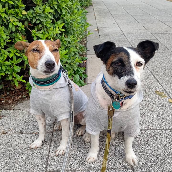 Af142c0b d3e7 4488 bda2 84a406db4202 1698360880088