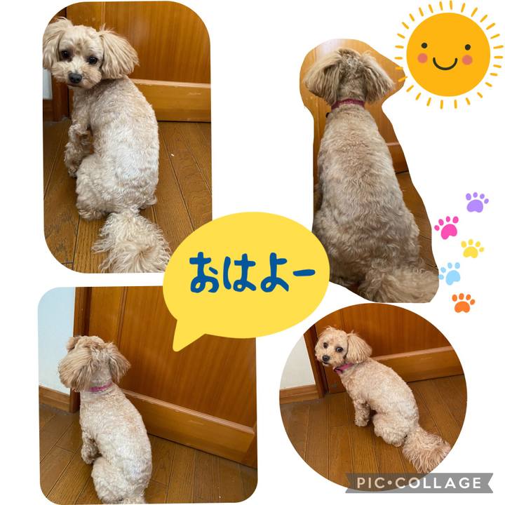 Af143968 b104 4c5f a4ec f39d0045aed0 1684244085465