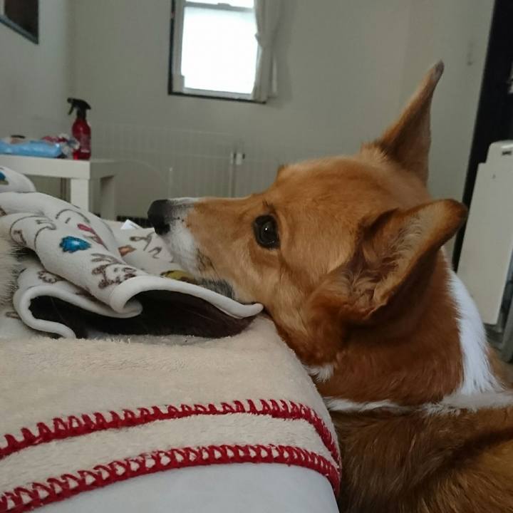 Af143bc3 017f 444b bb7c e4fa05276e8a 1551537711343