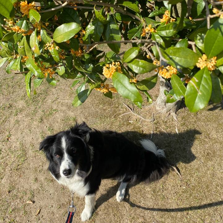 Af1460ea d696 4b00 8be1 f95e9586a59b 1602637419882