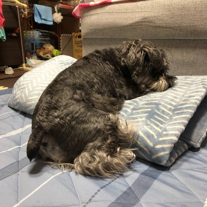 Af14781a 50ff 4619 a386 a75f34ad3521 1690984986601