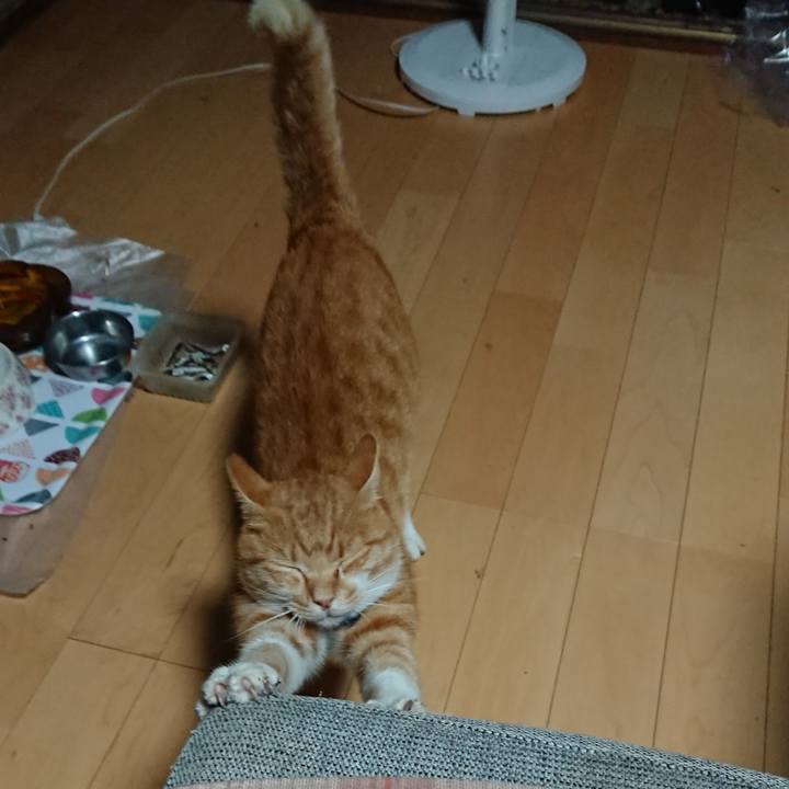 Af14a0c6 b56c 4523 b8e1 a74ab13d1f00 1600720878779