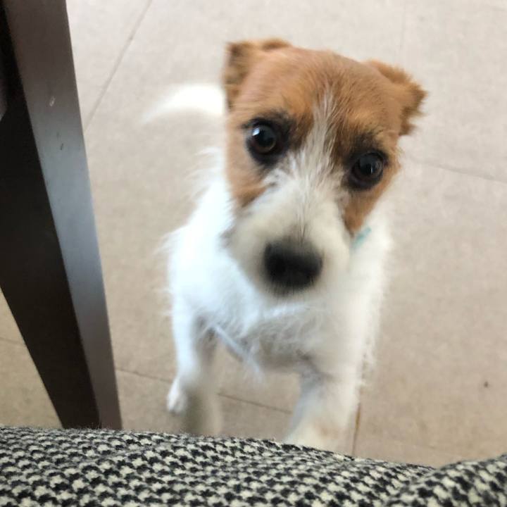 Af14b73e 49ca 4730 9072 45b0ee46763b 1518948598995