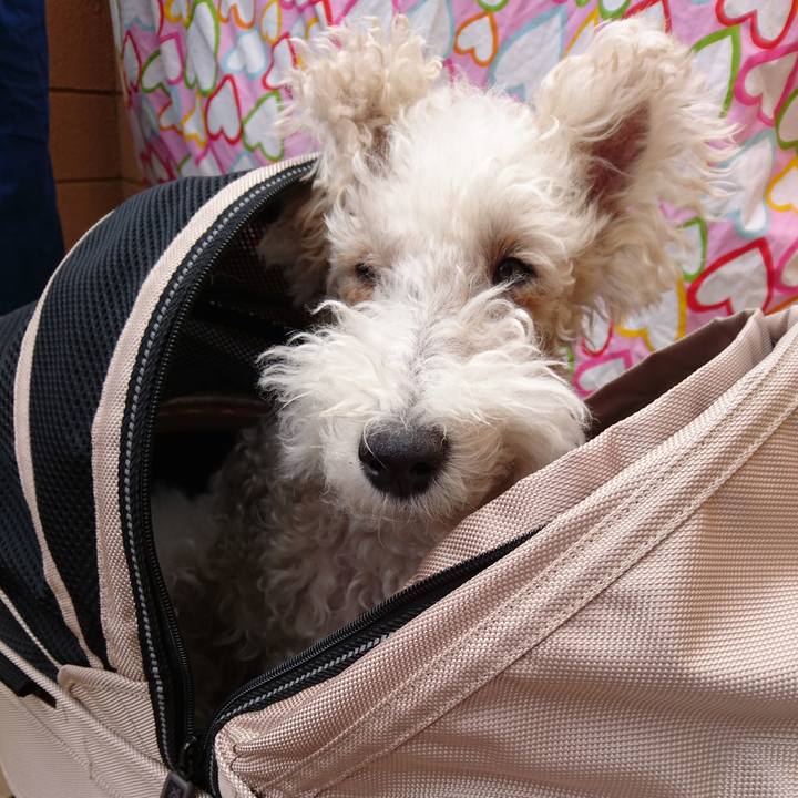 Af14ea37 a6df 4668 965f bb70b9342c5e 1508811284341