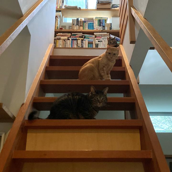 Af150b24 be61 4789 ae99 cf2f5a4f2946 1729897694659