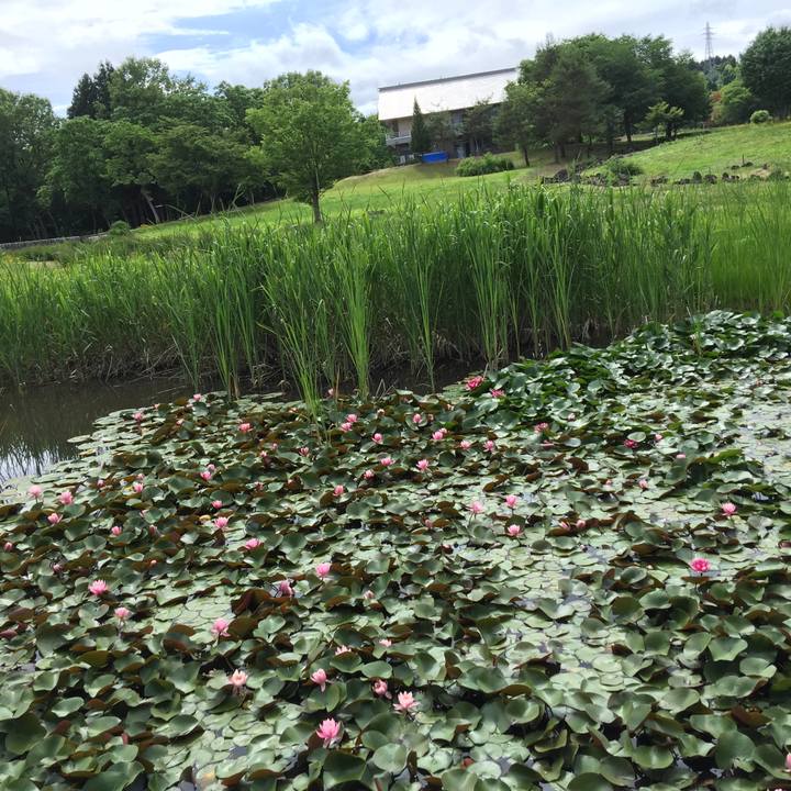 Af151850 b889 4e4d 9596 9a7aa6b6150a 1654668942946